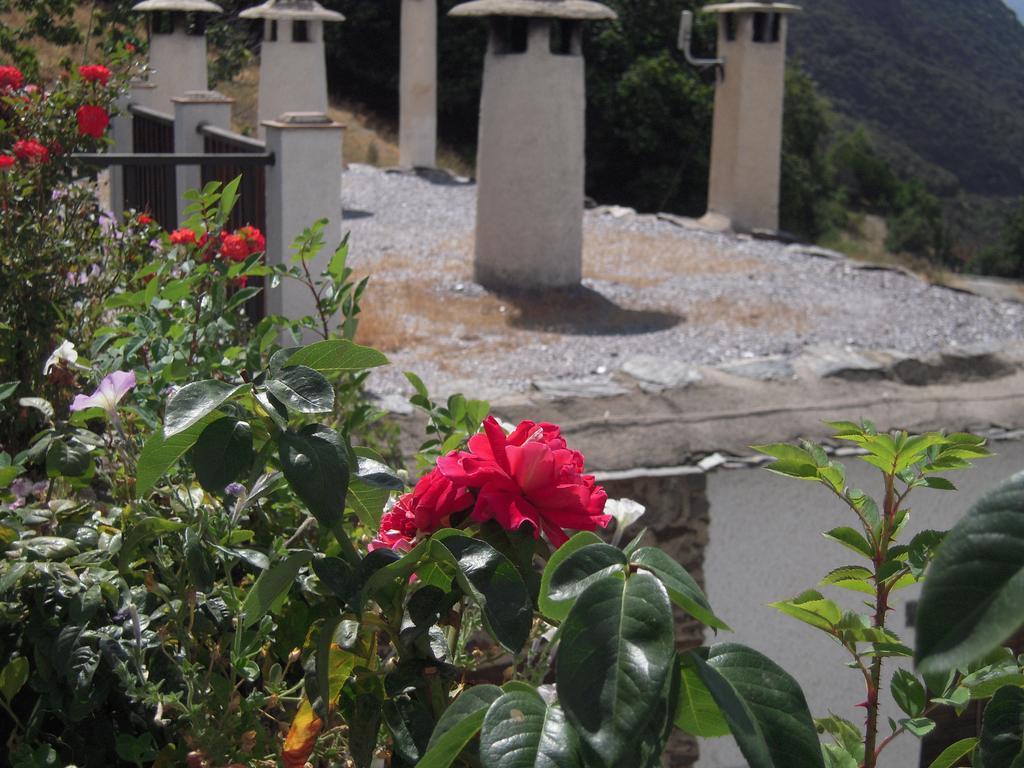 דירות בוביון La Ermita Del Poqueira מראה חיצוני תמונה